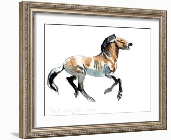 Greek (Przewalski), 2012-Mark Adlington-Framed Giclee Print