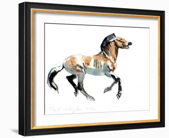 Greek (Przewalski), 2012-Mark Adlington-Framed Giclee Print