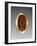 Greek Ring Inset with Intaglio Representing Fortuna-null-Framed Photographic Print