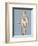 Greek statue of a Kore from the Acropolis, 5th century BC. Artist: Unknown-Unknown-Framed Giclee Print