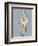 Greek statue of a Kore from the Acropolis, 5th century BC. Artist: Unknown-Unknown-Framed Giclee Print