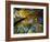 Greeley Ponds Trail, Northern Hardwood Forest, New Hampshire, USA-Jerry & Marcy Monkman-Framed Photographic Print