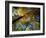 Greeley Ponds Trail, Northern Hardwood Forest, New Hampshire, USA-Jerry & Marcy Monkman-Framed Photographic Print