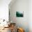 Green Abstract, 2021, (digital)-Scott J. Davis-Mounted Giclee Print displayed on a wall