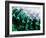 Green Abstract, 2021, (digital)-Scott J. Davis-Framed Giclee Print