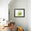 Green Abstract Brush Splash Flower-Irena Orlov-Framed Art Print displayed on a wall