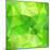 Green Abstract Crystal Vector Background-art_of_sun-Mounted Art Print