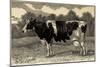 Green Acre Farm-Stephanie Monahan-Mounted Giclee Print