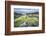 Green Algae on Rocky Nort Irish Coastline-Jacek Kadaj-Framed Photographic Print