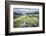 Green Algae on Rocky Nort Irish Coastline-Jacek Kadaj-Framed Photographic Print