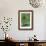 Green Allium-Stacy Bass-Framed Giclee Print displayed on a wall