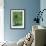 Green Allium-Stacy Bass-Framed Giclee Print displayed on a wall