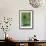 Green Allium-Stacy Bass-Framed Giclee Print displayed on a wall