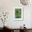 Green Allium-Stacy Bass-Framed Giclee Print displayed on a wall