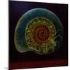 Green Ammonite, 2020 (Oil on Canvas)-Lee Campbell-Mounted Giclee Print