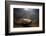 Green Anaconda (Eunectes Murinus) Underwater, Flicking Tongue, Formoso River-Franco Banfi-Framed Photographic Print