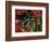 Green and Black Dart Frog, Costa Rica-Adam Jones-Framed Photographic Print