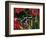 Green and Black Dart Frog, Costa Rica-Adam Jones-Framed Photographic Print