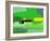 Green and Brown Abstract 6-NaxArt-Framed Art Print
