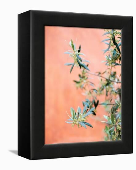 Green and Coral-Raisa Zwart-Framed Premier Image Canvas