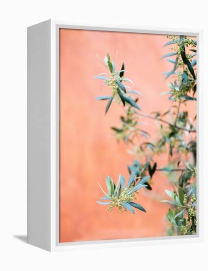 Green and Coral-Raisa Zwart-Framed Premier Image Canvas