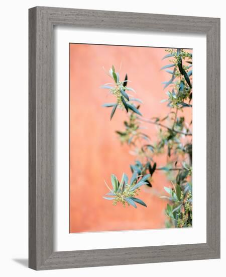 Green and Coral-Raisa Zwart-Framed Giclee Print