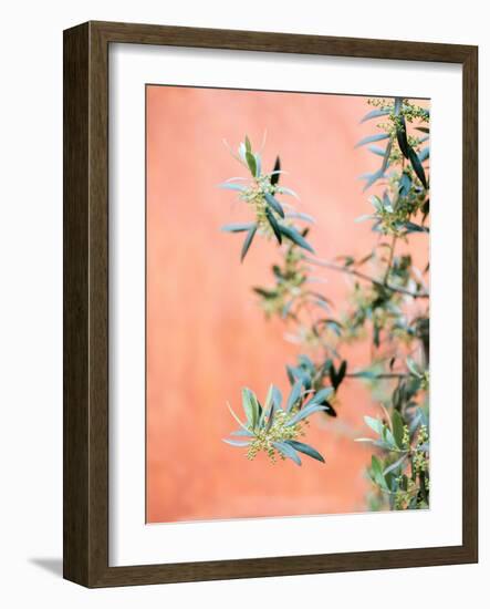 Green and Coral-Raisa Zwart-Framed Giclee Print