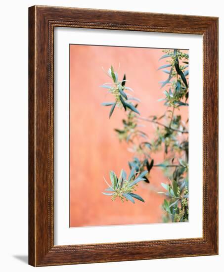 Green and Coral-Raisa Zwart-Framed Giclee Print