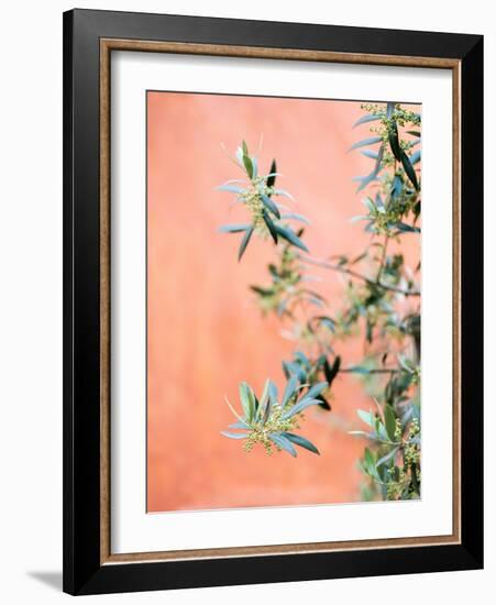 Green and Coral-Raisa Zwart-Framed Giclee Print