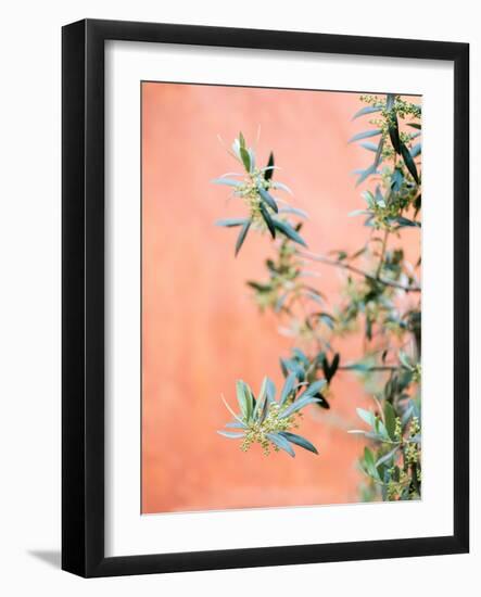 Green and Coral-Raisa Zwart-Framed Giclee Print