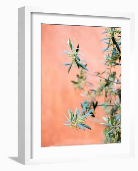 Green and Coral-Raisa Zwart-Framed Giclee Print