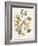 Green and Gold Flowers 1-Jace Grey-Framed Art Print