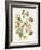 Green and Gold Flowers 1-Jace Grey-Framed Art Print