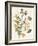 Green and Gold Flowers 1-Jace Grey-Framed Art Print