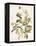 Green and Gold Flowers 2-Jace Grey-Framed Stretched Canvas