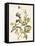 Green and Gold Flowers 2-Jace Grey-Framed Stretched Canvas