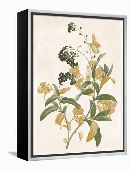 Green and Gold Flowers 2-Jace Grey-Framed Stretched Canvas