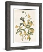 Green and Gold Flowers 2-Jace Grey-Framed Art Print