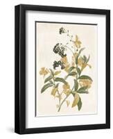Green and Gold Flowers 2-Jace Grey-Framed Art Print