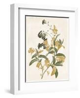 Green and Gold Flowers 2-Jace Grey-Framed Art Print