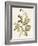 Green and Gold Flowers 2-Jace Grey-Framed Art Print