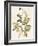 Green and Gold Flowers 2-Jace Grey-Framed Art Print