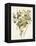 Green and Gold Flowers 4-Jace Grey-Framed Stretched Canvas