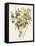 Green and Gold Flowers 4-Jace Grey-Framed Stretched Canvas