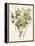 Green and Gold Flowers 4-Jace Grey-Framed Stretched Canvas