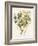 Green and Gold Flowers 4-Jace Grey-Framed Art Print