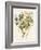 Green and Gold Flowers 4-Jace Grey-Framed Art Print