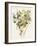 Green and Gold Flowers 4-Jace Grey-Framed Art Print