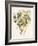 Green and Gold Flowers 4-Jace Grey-Framed Art Print