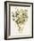 Green and Gold Flowers 4-Jace Grey-Framed Art Print